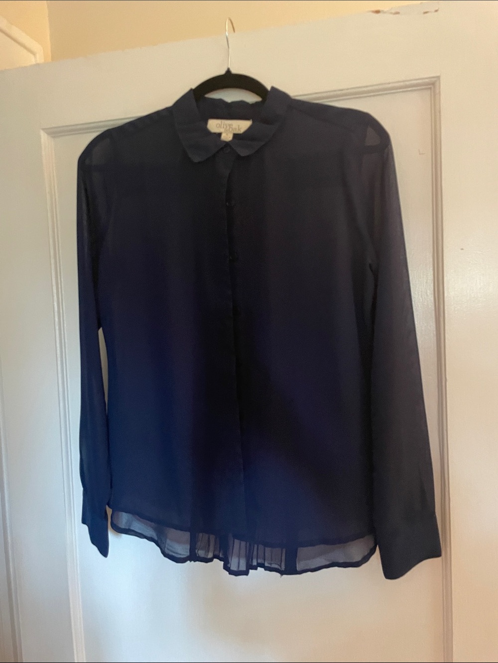 Sheer Navy Button Down